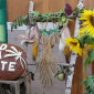 Erntedank Altar