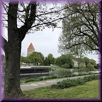Bäume