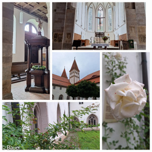 Gemeindeausflug 2024